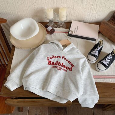 Factory Direct Embroidered Casual Kids Hoodies for Wholesale