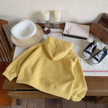 Factory Direct Embroidered Casual Kids Hoodies for Wholesale