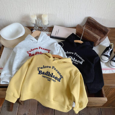 Factory Direct Embroidered Casual Kids Hoodies for Wholesale
